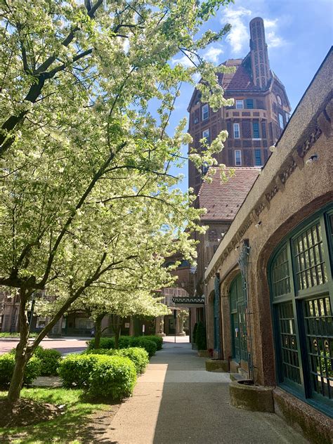 edge of the city blog|edge of the city forest hills.